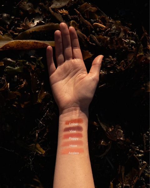 Tallow Lip and Cheek Tint