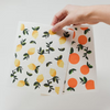 Swedish Eco Cloths