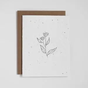 Plantable Seed Greeting Cards