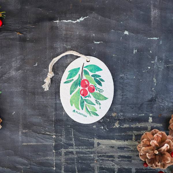 Holiday Pop-Up Sponges