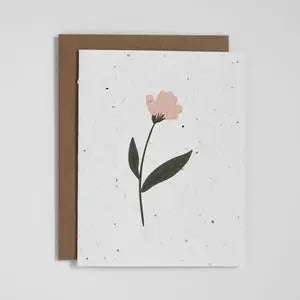 Plantable Seed Greeting Cards