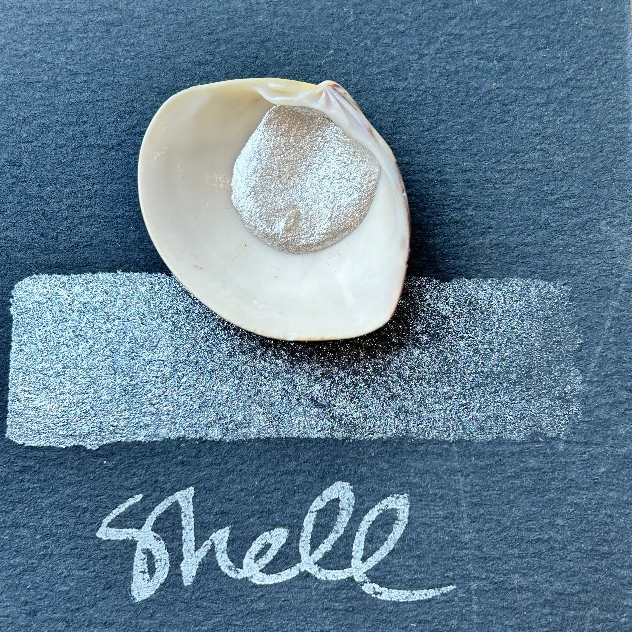 Shell Paints