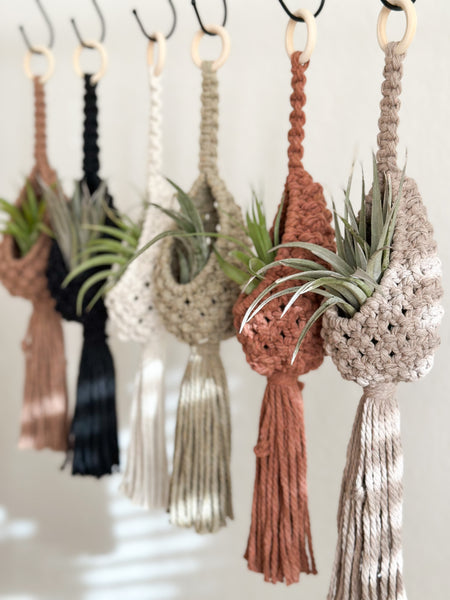 Macrame Air Plant Hangers