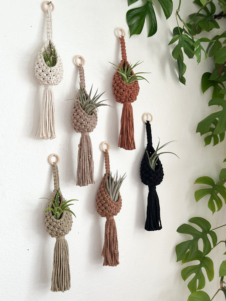 Macrame Air Plant Hangers