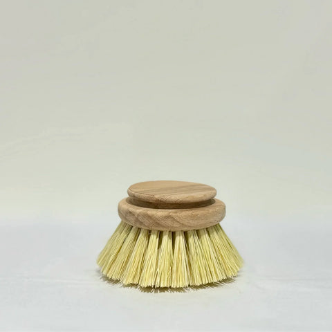 Replacement Head for Dish Brush (Redecker)